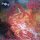 Morbid Angel – Blessed Are The Sick - Vinyl, LP, Album - M (Mint) Brandneu