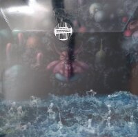 Spidergawd– VII- Red w/Black Vinyl + Single Vinyl...