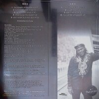 Joe Louis Walker – Weight of the World - Vinyl, LP, Album - M (Mint) Brandneu