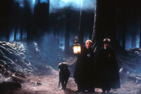 Harry Potter und der Stein der Weisen / DVD