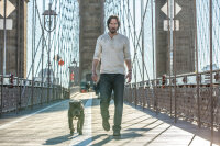 John Wick: Kapitel 2 / DVD - Nagelneu / Versiegelt