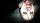 Resident Evil 7 biohazard / Playstation 4 / PS5 *TOP Zustand
