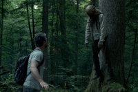 The Forest - Verlass nie den Weg / Mediabook-BluRay + DVD * Nagelneu Versiegelt