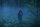 The Forest - Verlass nie den Weg / Mediabook-BluRay + DVD * Nagelneu Versiegelt