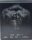 The Expendables - Extended Directors Cut Steelbook / BluRay Film -Guter Zustand