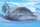 Mein Freund, der Delfin / DVD