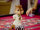 Alvin und die Chipmunks 3: Chipbruch / DVD