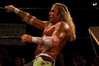 The Wrestler / DVD