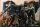 Full Metal Jacket / Blu-Ray Top Zustand