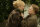 Tagebuch eines Skandals / DVD