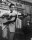 Walk the Line / DVD - Top Zustand