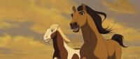 Spirit - Der wilde Mustang / DVD