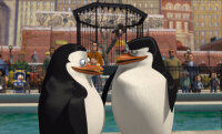 Madagaskar, Animation, DVD, FSK 0 - Top Zustand