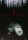 Blair Witch Project / DVD *Top Zustand