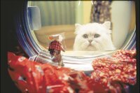 Stuart Little / DVD Top Zustand