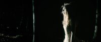 The Village in the Woods / DVD * Guter Zustand