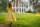 Antebellum / DVD * Guter Zustand