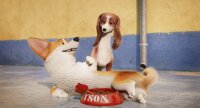 Royal Corgi - Der Liebling der Queen / DVD - Top Zustand