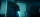 The Neighbor - Das Grauen wartet nebenan / DVD * Guter Zustand