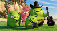 Angry Birds - Der Film / DVD *Top Zustand