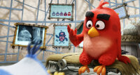 Angry Birds - Der Film / DVD *Top Zustand