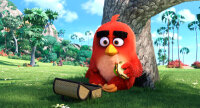 Angry Birds - Der Film / DVD *Top Zustand