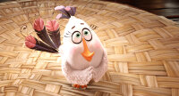 Angry Birds - Der Film / DVD *Top Zustand