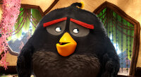 Angry Birds - Der Film / DVD *Top Zustand