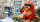 Angry Birds - Der Film / DVD *Top Zustand