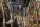 Der Hobbit 3 - Die Schlacht der fünf Heere - Extended Edition (+2 Bonus BluRays)