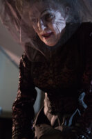 Insidious: Chapter 2 / DVD