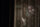 Insidious: Chapter 2 / DVD