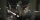 Iron Sky - Wir kommen in Frieden! / DVD - Top Zustand