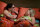 The Big Bang Theory - Staffel 3  [3 DVDs] Top Zustand