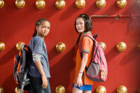 Karate Kid  (2010) DVD