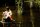 Rogue - Im falschen Revier / DVD