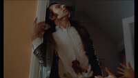 The Flesh & Blood Show / DVD * Guter Zustand