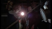 The Flesh & Blood Show / DVD * Guter Zustand