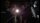 The Flesh & Blood Show / DVD * Guter Zustand